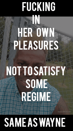 The Images of The&nbsp;Day